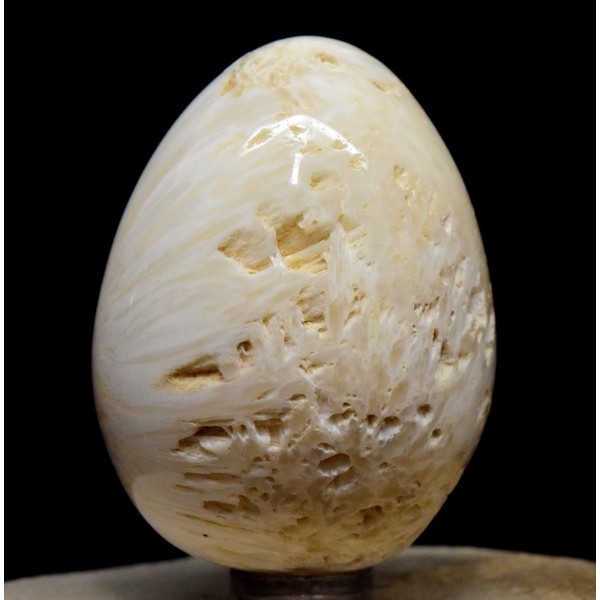 2.3" 130g White Orange Scolecite Sprays Carved into Egg Polished