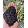 BioChar : PyroChar Pyrolysis Based Biochar: 1 Cubic Foot