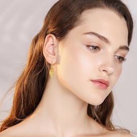 YFN Parrot Earrings Sterling Silver Dangle Drop Parrot Bird Earrings Parrot Jewellery Gift for Women