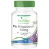 Fairvital Lapacho Bark Extract 500 mg - Pau D'Arco -