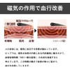 ピップエレキバン MAX200 12粒入 + ピップ マグネループ MAX + おまけ付き エレキバン+ブラック60cm