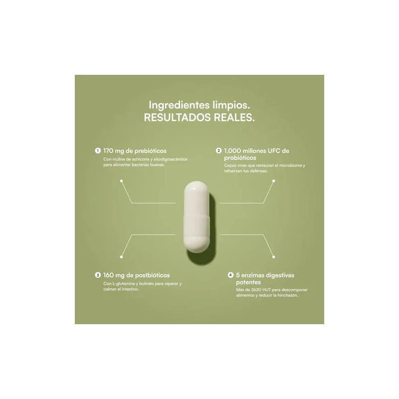 Recuperación Intestinal 4 En 1 Con Pre+probióticos+enzimas Sin Sabor