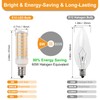 E12 LED Bulb 6W Equivalent to 60W Incandescent Candelabra Bulbs