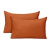 AMEHA 100% Brushed Microfiber Rust Pillow Cases 2 Pack, Super