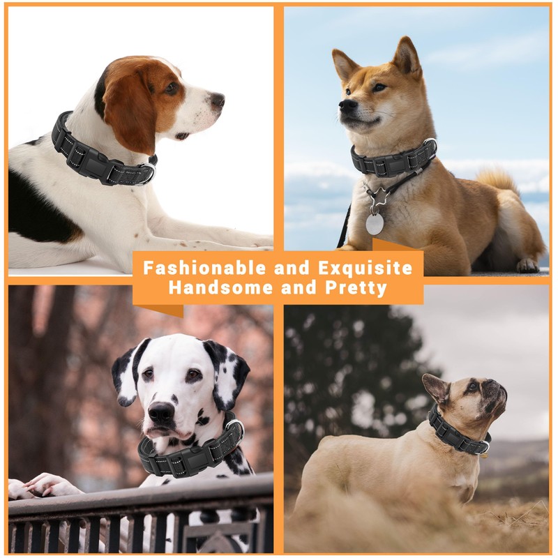 LIEVUIKEN 2 Pack Reflective Dog Collar with Safety Locking Buckle,