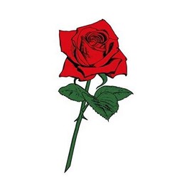 Festival Makeup M107 Rose Single Rear Wheel (X in)