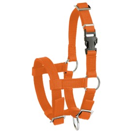 Kerbl Alpaca Headcollar Adjustable - Orange (Dimensions 17 x 18 x 4.5 cm, Weight 0.1 kg, Material 20 mm Polypropylene) 27190
