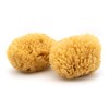 Neptune Caribbean Sea Sponge 2 Pack, Extra Large, Approx. 7-8