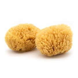 Neptune Caribbean Sea Sponge 2 Pack, Extra Large, Approx. 7-8 inches