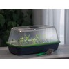 Romberg LED plant lighting, ideal light spectrum for plant cultivation,