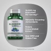 Piping Rock Blueberry Extract Capsules 16000mg | 150 Count |