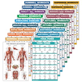 20 Pack - Exercise Workout Poster Set, Dumbbell, Suspension, Battle Rope, Stretching, Bodyweight, Barbell, Yoga, Exercise Ball, Kettlebell, Resistance Bands and More (PAPER - NOT LAMINATED, 18" x 24")