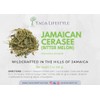 Cerasee Tea, Organic Bitter Melon, Momordica charantia, Wildharvested in Jamaica