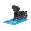 Petface Cooling Summer Pet Towel 66 x 43 cm