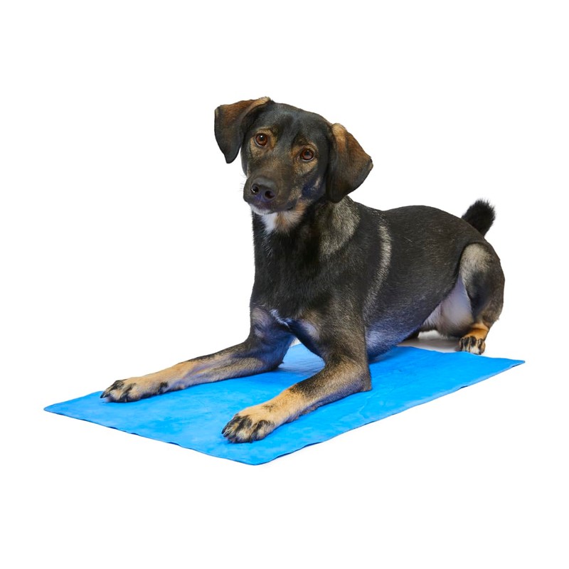 Petface Cooling Summer Pet Towel 66 x 43 cm