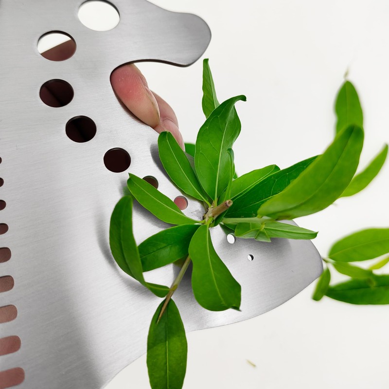 Herb Strippers 10 Holes-Stainless Steel Kitchen Leaf Stripping Tool- Perfect
