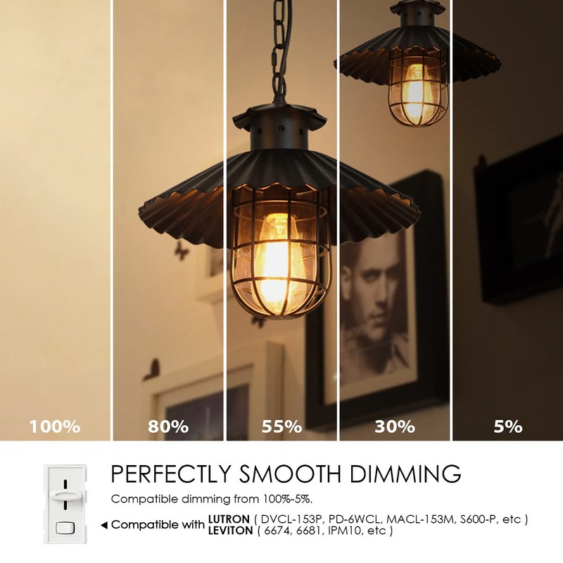 LVWIT 6 Pack Vintage LED Edison Bulbs 75W Equivalent 11W