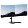 Mount-It! Dual Monitor Stand for Desk, Free Standing Monitor Stands