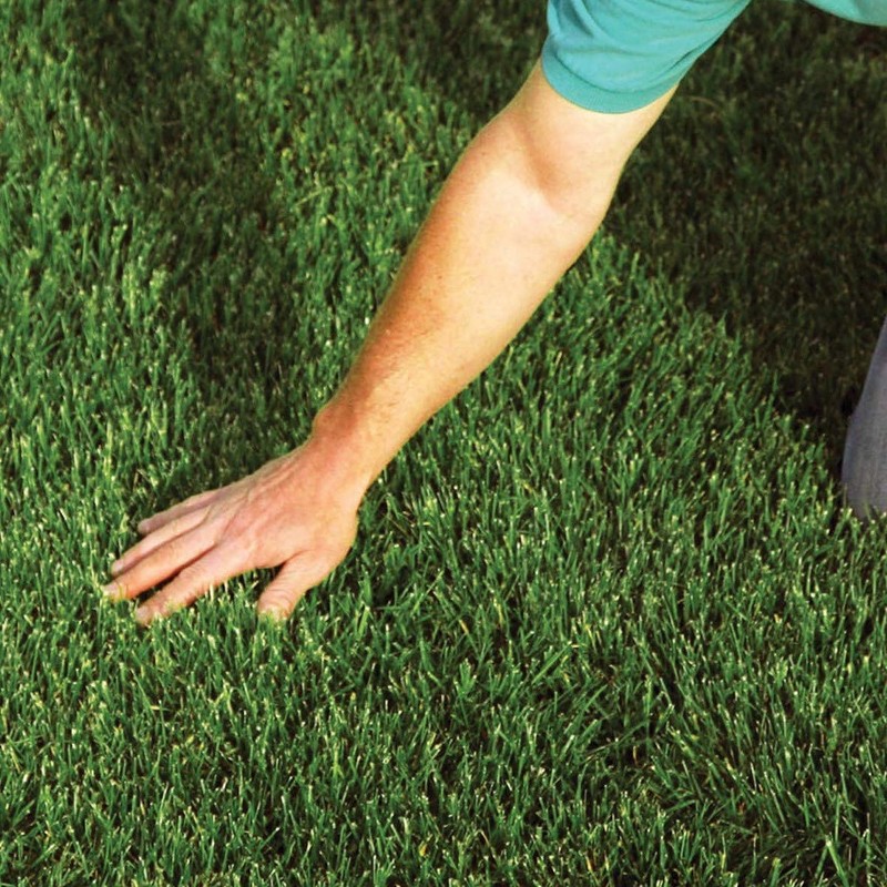 EZ Straw Lawn Repair Mix – Sun/Shade Blend – Combination