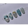 ⭐️ Sunny today [Cloud Dog Walk] Nail Tips ⭐️ -