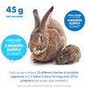 Equa Holistics HealthyGut Probiotics for Rabbits Dietary Supplement, All-Natural Digestive