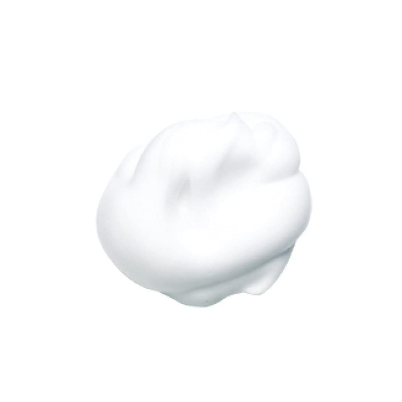 Kanebo Refreshing Creamy Wash A Face Wash, 4.6 oz (130