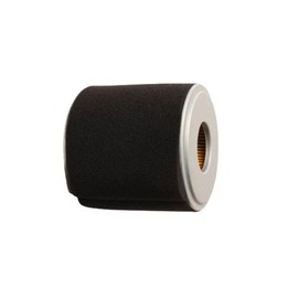 Eopzol 11701 Air Filter & Pre Filter Replacement for Rotary Honda 17210-Z1C-781 Fits for GX270 GX390