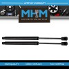 BOXI Pair Front Hood Lift Supports Gas Struts Dampers Shocks