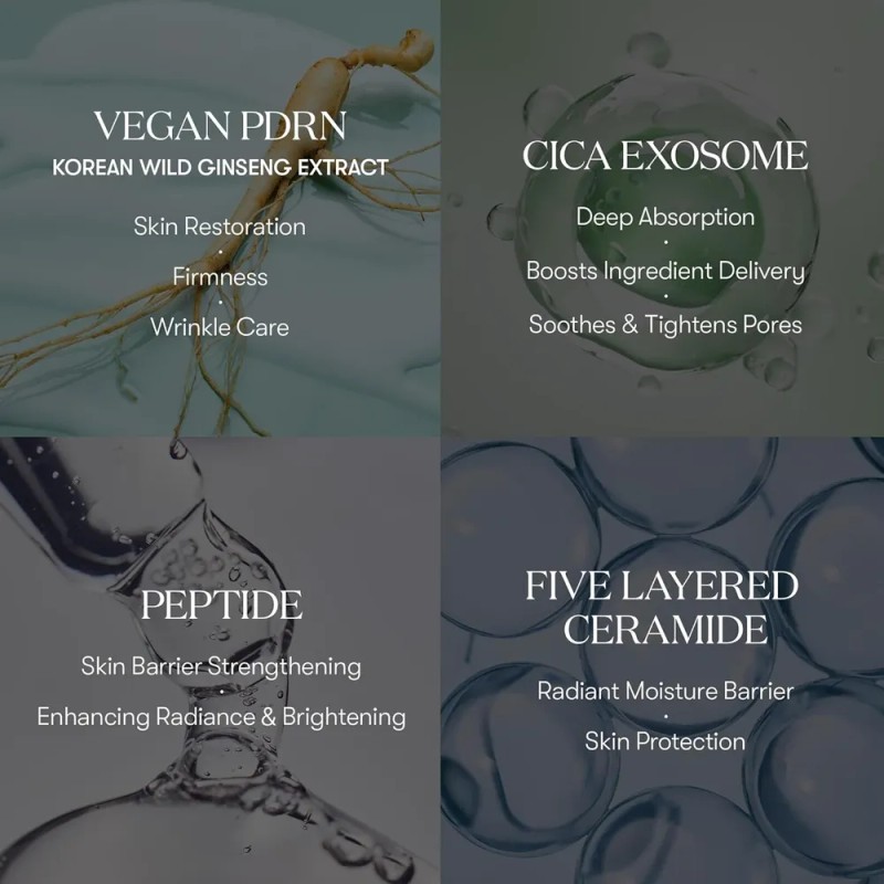 Vt Cosmetics Pdrn Cica Exosome Ampoule, Suero Reafirmante Co