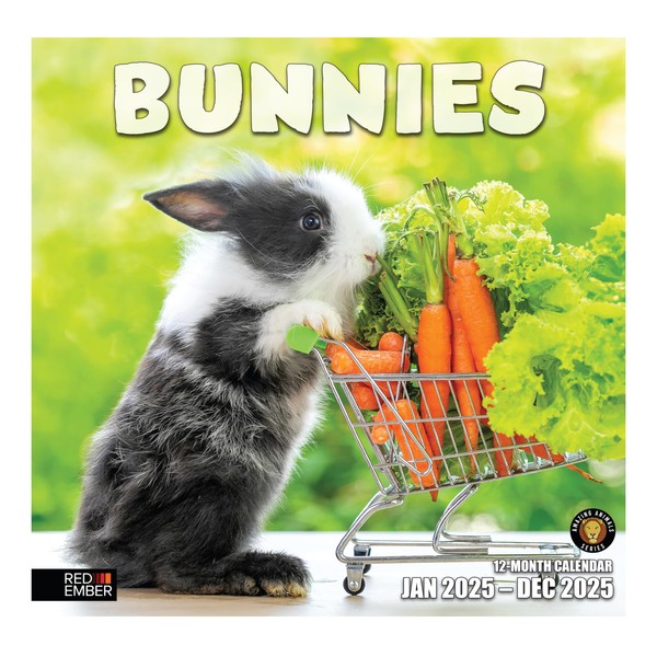 RED EMBER Bunnies 2025 Wall Calendar 12 Month | 12"