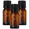 Essenherb tea tree 100 oil, 10ml, 3 pieces / 에센허브 티트리 100 오일, 10ml, 3개