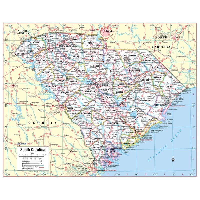 Cool Owl Maps South Carolina State Wall Map Poster Large