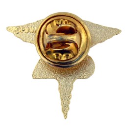 PinMart's Caduceus Nursing Enamel Lapel Pin - Ideal CNA or Medical Assistant Badge - Patient Care Technician Accessories for Lanyards and Nursing Scrubs or CNA Graduation Gifts and Pinning Ceremonies