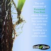 Fernwood Tree Fern Orchid Mounting Board- Soft, Durable, and Fibrous