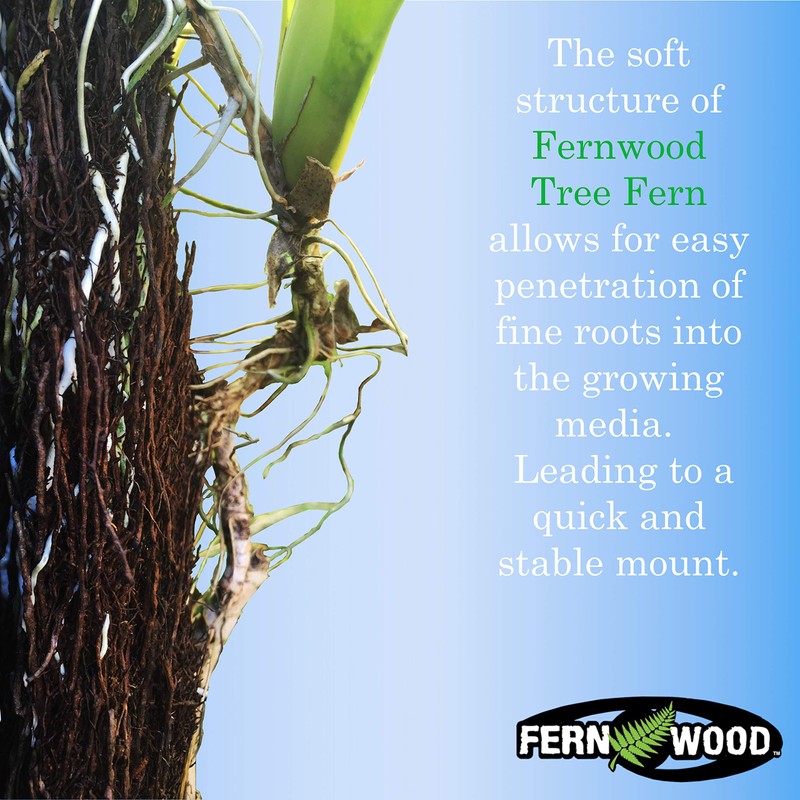 Fernwood Tree Fern Orchid Mounting Board- Soft, Durable, and Fibrous