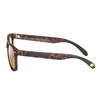 Eagle Eyes Charlie Polarized Sunglasses - Tortoise