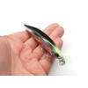 Bass Lure 98mm 13g 0-0.3m Shallow Floating Bait #6 BKK