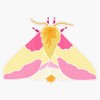 Rosy Maple Moth Bumper Sticker Vinyl Decal 5"