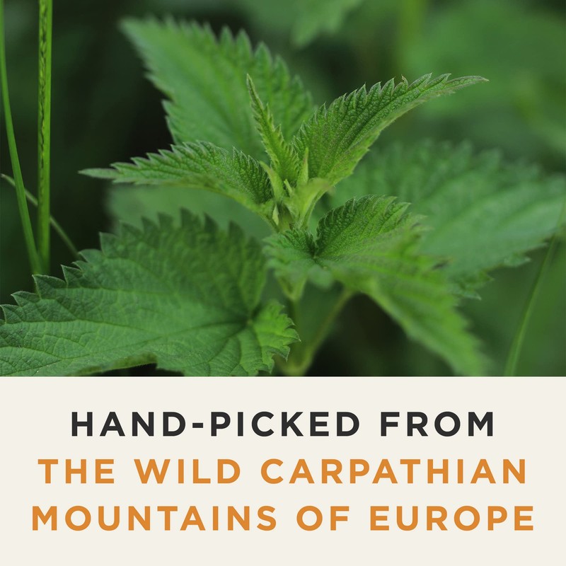 Organic Wild Stinging Nettle Leaf Tea - Caffeine Free Loose