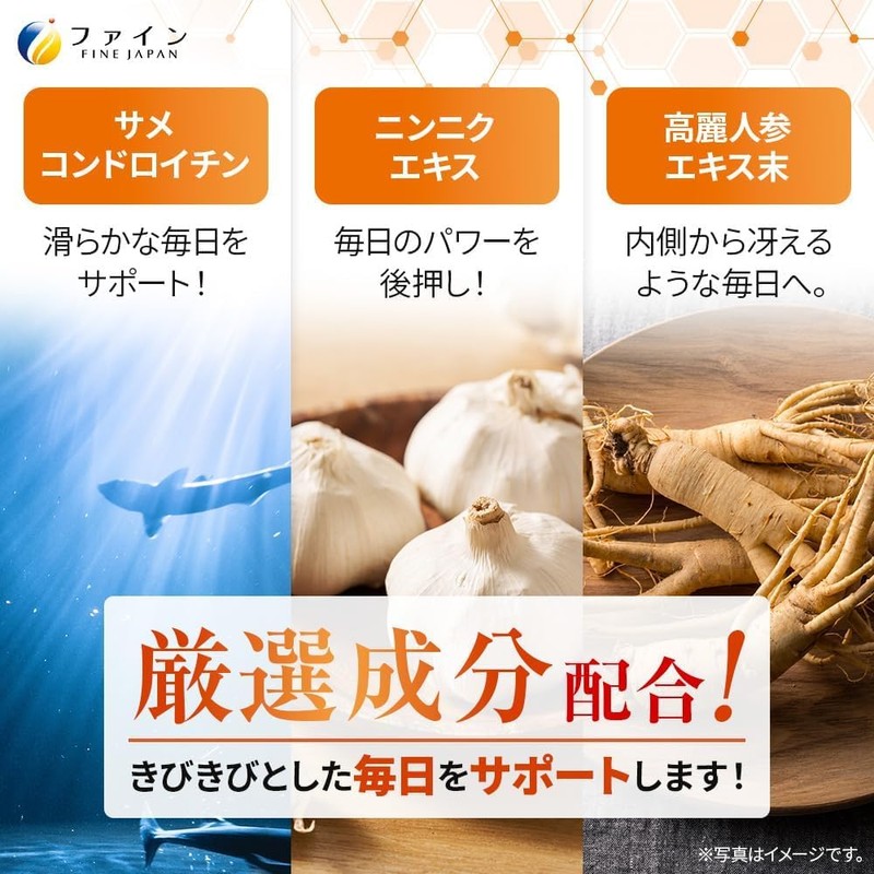 FINE JAPAN Garlic Extract, Odorless Garlic, Ginseng Extract, Chondroitin, B