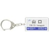 JR nishinihon Yamaguchi Lines "Yamaguchi" Key Holder Train Goods