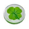 Real Four Leaf Clover "Good Luck Pocket Token" Traditional Lucky