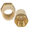 Everflow Supplies BRCPF200-NL 2" Lead-Free Adapter Fitting with a Brass