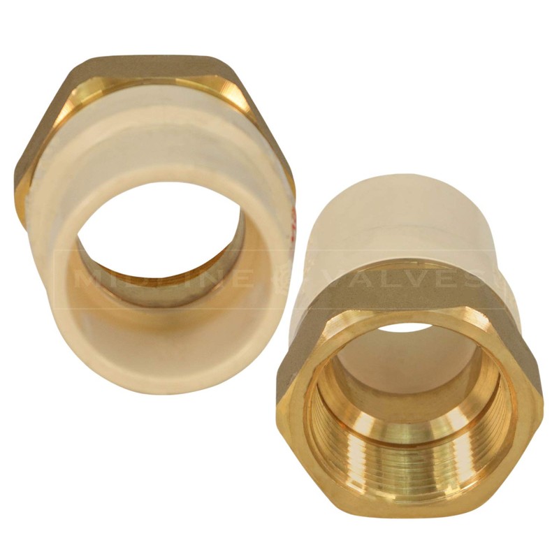 Everflow Supplies BRCPF200-NL 2" Lead-Free Adapter Fitting with a Brass