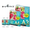 Asuka Laminator Film Matte Non-Reflective Cash Card F1030 100μm 100
