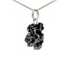 Starborn Campo de Cielo Meteorite Pendant Necklace (20")