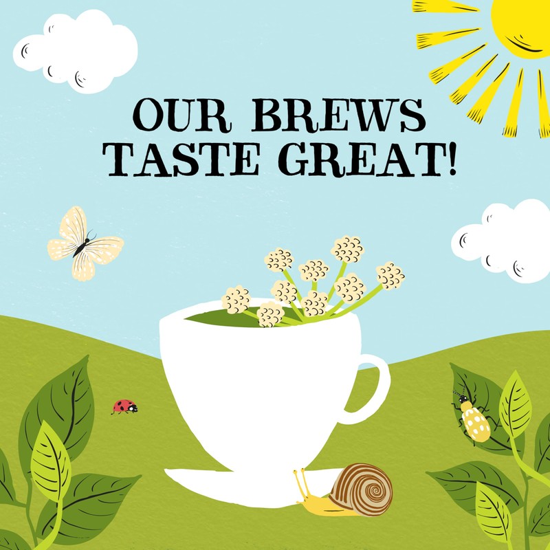 Clipper Organic Fennel Infusion 20 Teabags (Pack of 6, Total