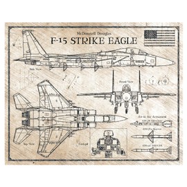 F-15 Strike Eagle - DaVinci or Blueprint Style Illustration - 8x10 or 16x20 inches (8x10 inches, DaVinci)