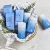 에버뉴트리 엘라스틴 저분자 피쉬콜라겐 99% 1박스 EverNutri Elastin Low Molecular