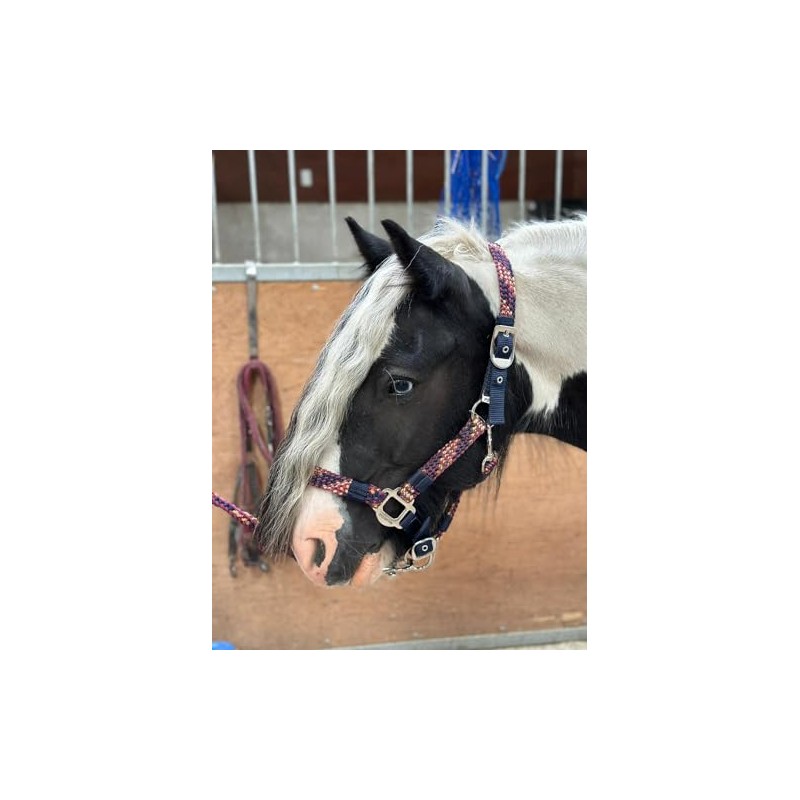 Equipride Braided Headcollar Lead Rope Set Size Full-Shetland Flame (Shetland)